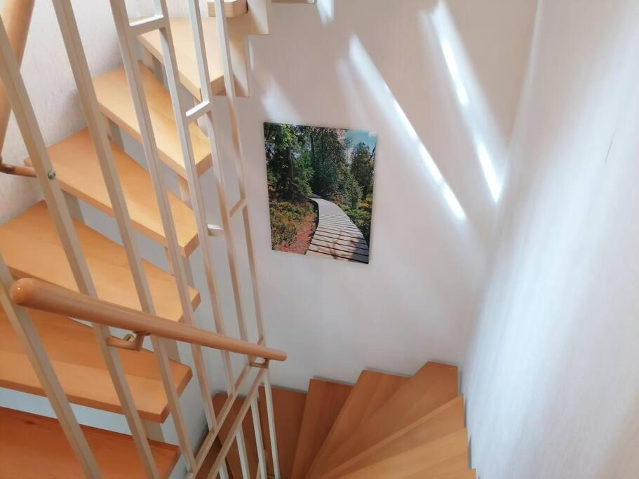 Ferienhaus Hoher Weg - Urlaub, Wandern, Downhill Und Workation Am Nationalpark Harz Sankt Andreasberg Zewnętrze zdjęcie