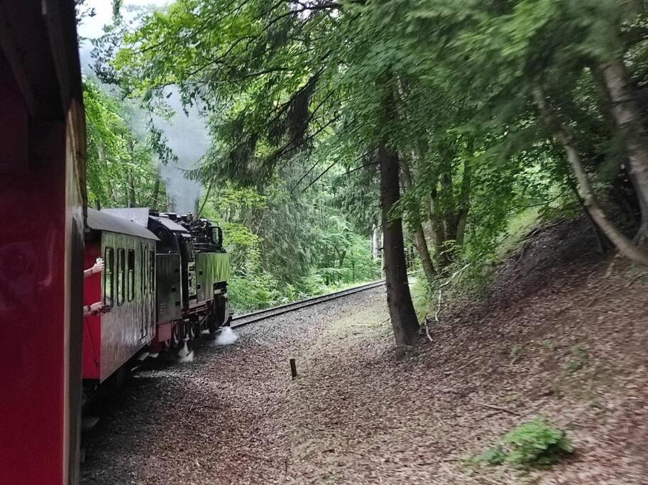 Ferienhaus Hoher Weg - Urlaub, Wandern, Downhill Und Workation Am Nationalpark Harz Sankt Andreasberg Zewnętrze zdjęcie