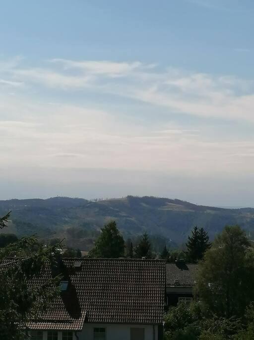 Ferienhaus Hoher Weg - Urlaub, Wandern, Downhill Und Workation Am Nationalpark Harz Sankt Andreasberg Zewnętrze zdjęcie
