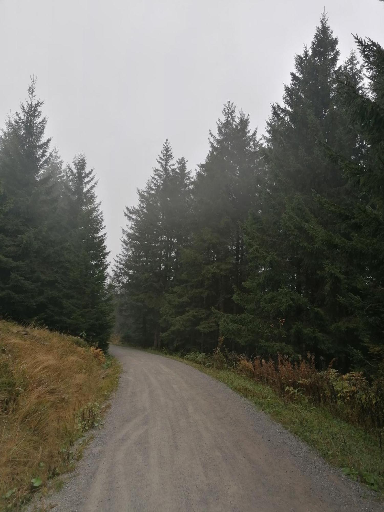 Ferienhaus Hoher Weg - Urlaub, Wandern, Downhill Und Workation Am Nationalpark Harz Sankt Andreasberg Zewnętrze zdjęcie