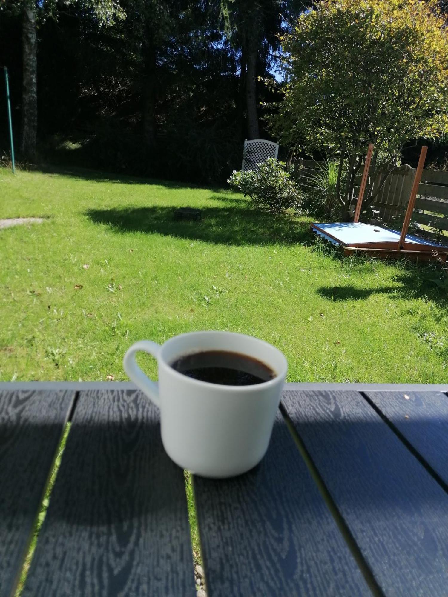 Ferienhaus Hoher Weg - Urlaub, Wandern, Downhill Und Workation Am Nationalpark Harz Sankt Andreasberg Zewnętrze zdjęcie